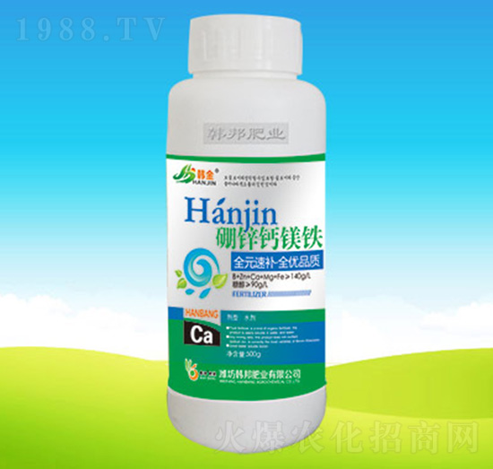 ���\�}�V�F-�n��ʘI(y��)