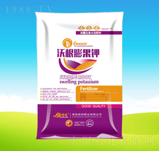 �ָ�����-�n��ʘI(y��)