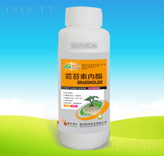 �|̦�؃�(n��i)����500g��-�n��ʘI(y��)