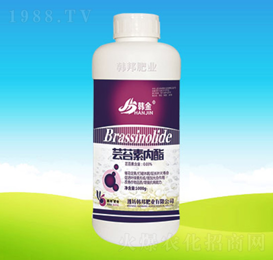 �|̦�؃�(n��i)��-�n��ʘI(y��)