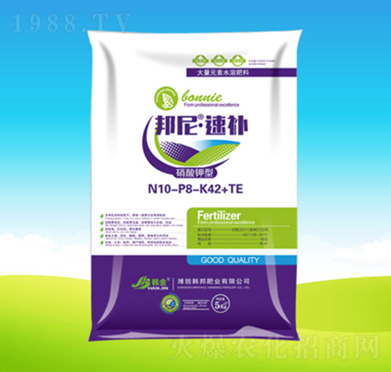 �������N10-P8-K42+TE-���ᡤ���a(b��)-�n��ʘI(y��)