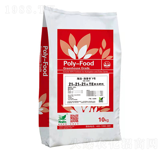 �ͺϷ���21-21-21+TE-�����������S1̖-����