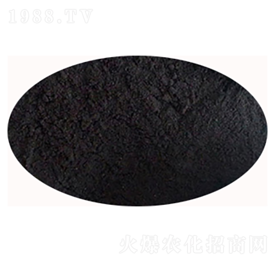 ��ֲ���}-ʥ��һ��