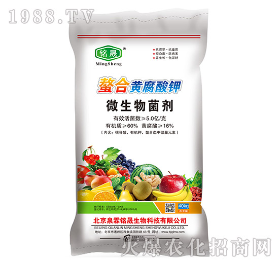 ΢�������-�����S�����-Ȫ�����