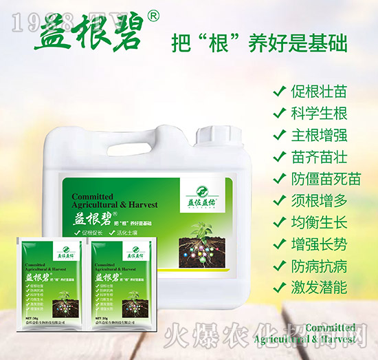 �������-��������