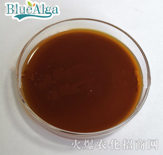 ���������أ�Һ�w��-�{(l��n)������