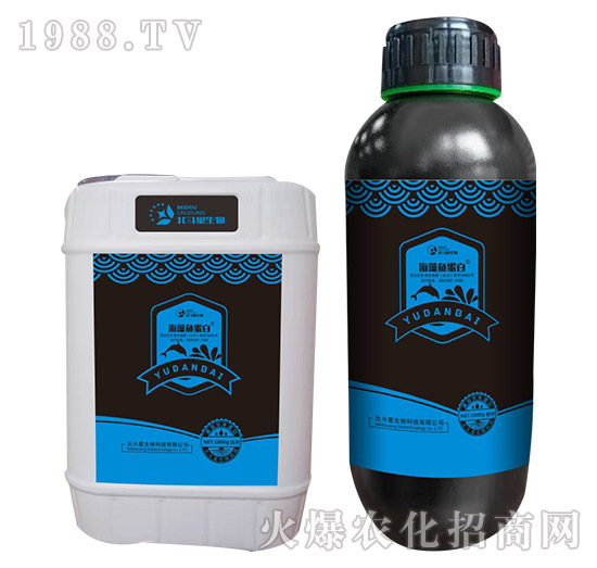 �����~����-������