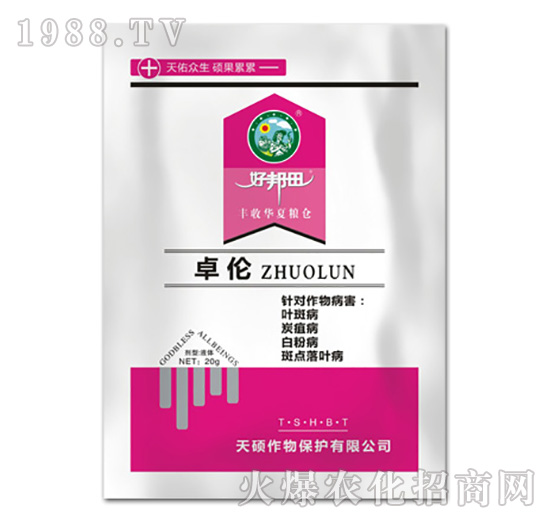 ׿��-�ð���-��T����