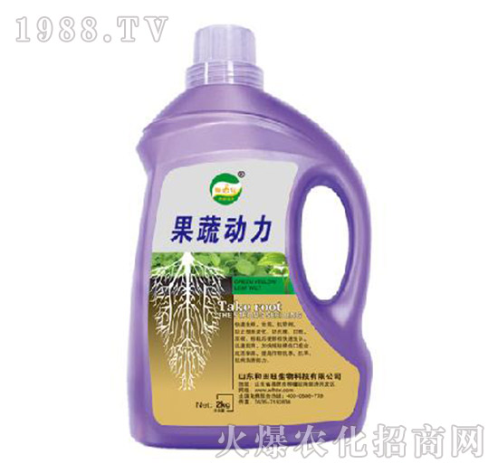 ���߄�(d��ng)��-����������