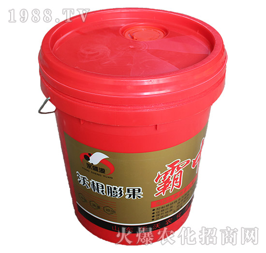 �ָ����-���а�-�A���r(n��ng)��