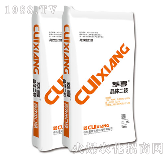 �������w���@-��������