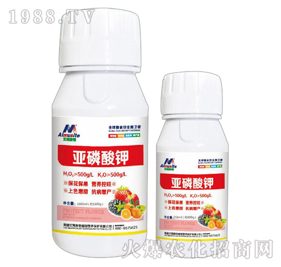 �������-��ķ˹��