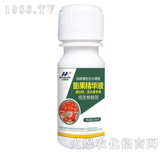 �������Ƅ�-���t����ʥŮ������-��ķ˹��