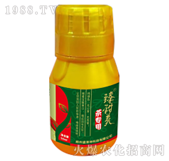 �茣��-������-ʢ����