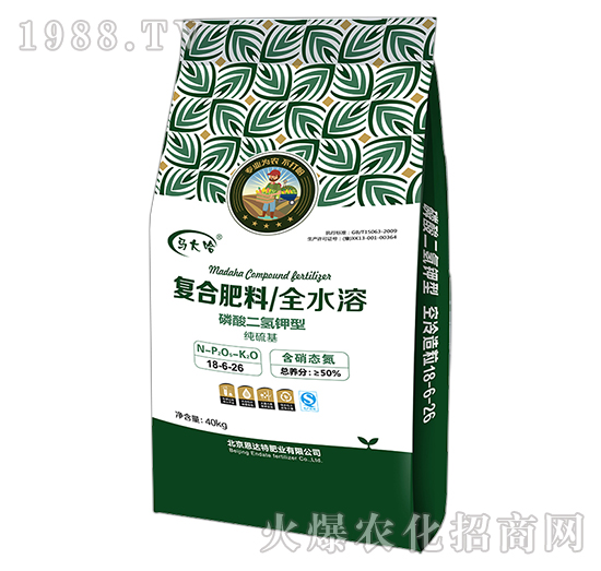 ���������͏�(f��)�Ϸ�18-6-26-�R���