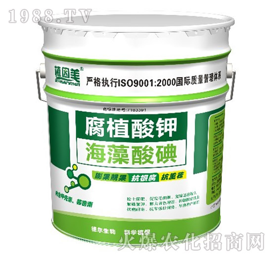 ��ֲ���-�������-��?t��ng)����? style=