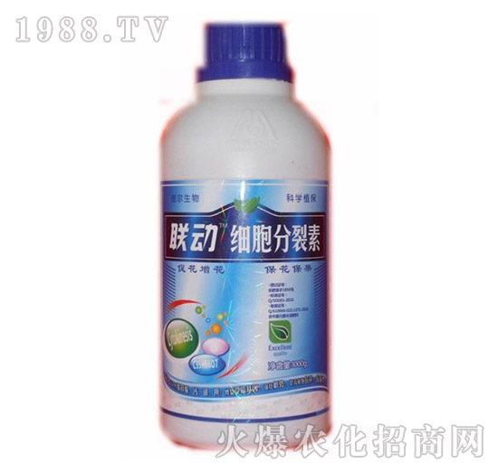 ����������-(li��n)��-� �����