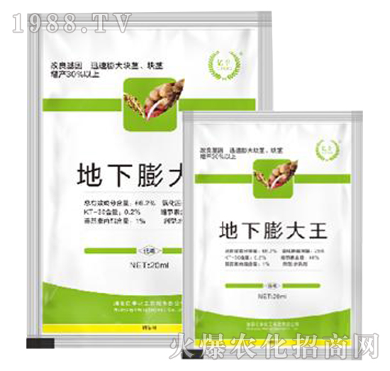 ���������-�|�S����