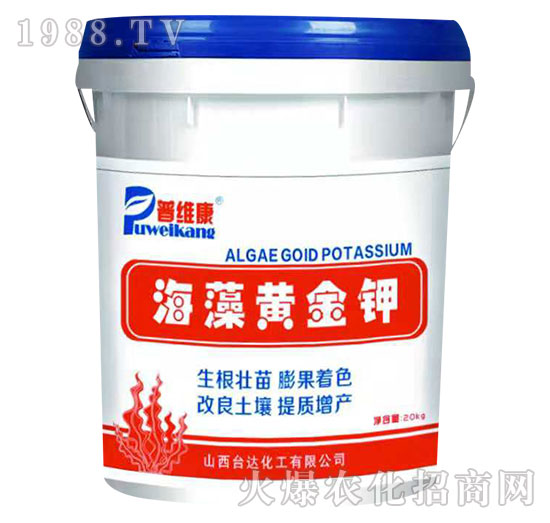 �����S���-�վS��-�_�_(d��)