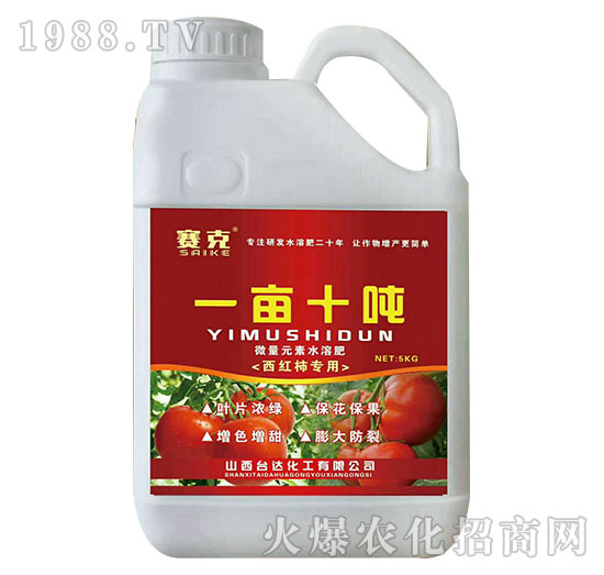 һ��ʮ��-ِ��-�_(t��i)�_(d��)