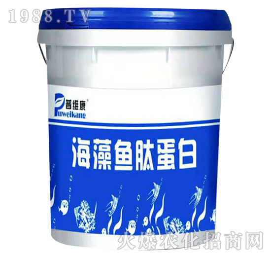 �����~�ĵ���-�վS��-�_(t��i)�_(d��)