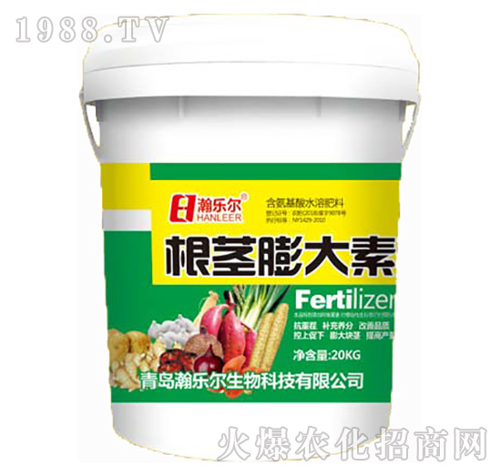 ���o�����-嫘�(l��)��