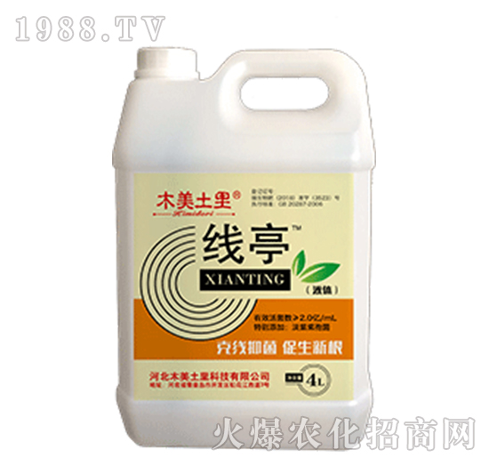 ��(xi��n)ͤ-ľ������