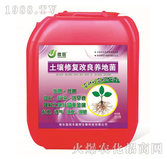 �����ޏ�(f��)�����B(y��ng)�ؾ�-΢��-���S���