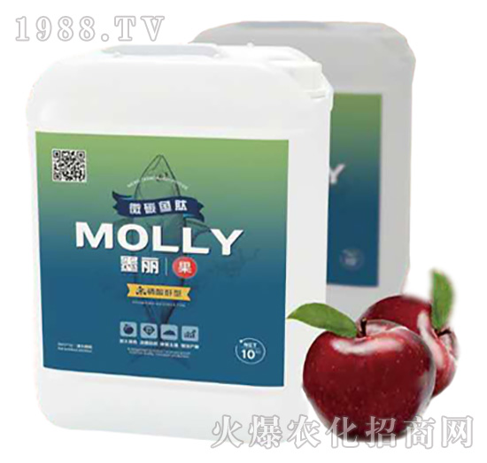 ī����-����