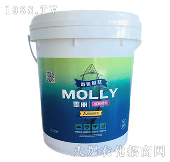 ī���ի@����-����