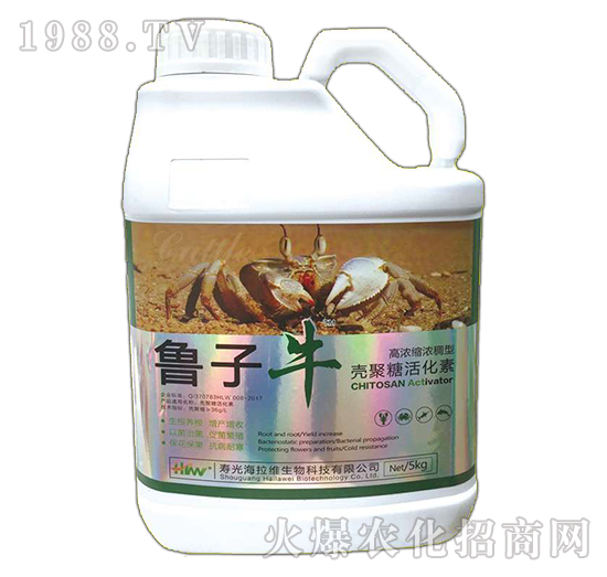 �����ǻ��-����ţ-�����S