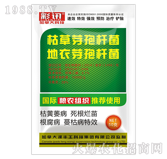 �ݲݡ�����ѿ�ߗU��-��Ӎ-���S��