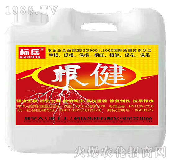 ����-��(bi��o)��-���S��