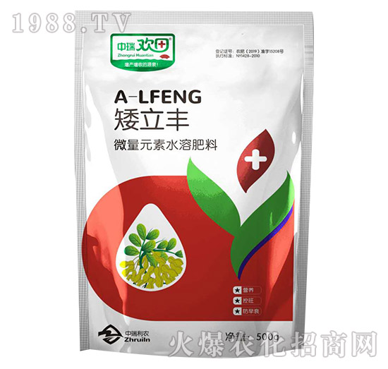 矮立豐-中瑞歡田-中瑞利農