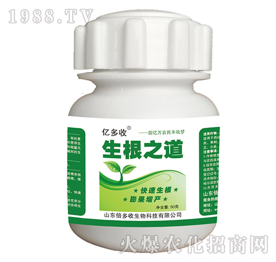 ����֮��-�|����