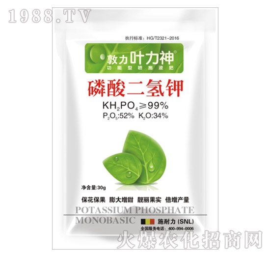 ��������-ʩ����