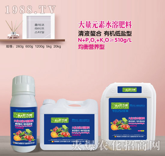 ����I�B(y��ng)�ʹ���Ԫ��ˮ�ܷ���-ʩ����