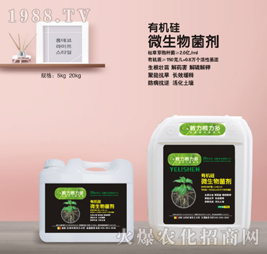 �ЙC��΢�������-ʩ����