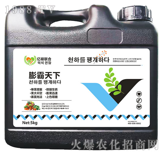 �������-�R�Sֲ��