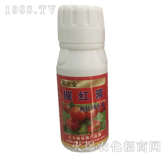 �߼t��-��֮��-�R�Sֲ��