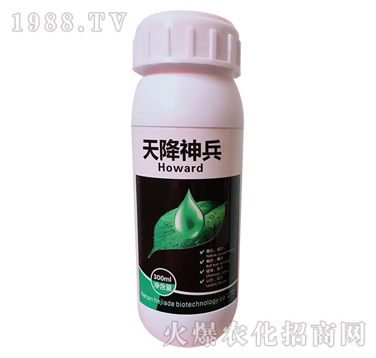 �콵���-�R�Sֲ��