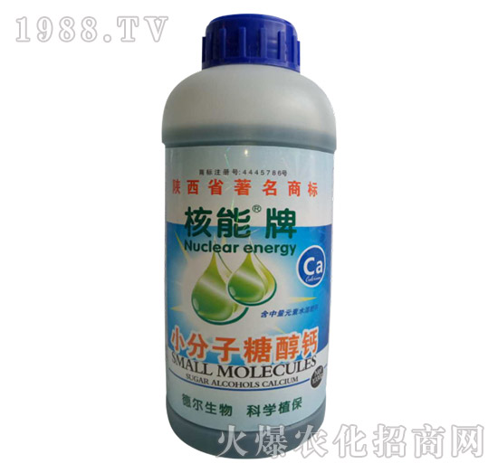 ������С�����Ǵ��}-� �����