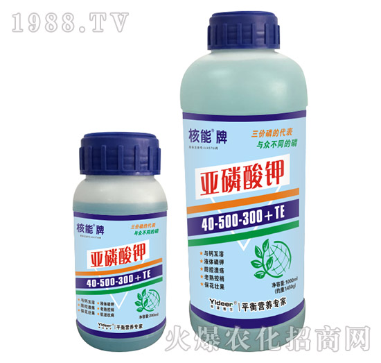 �����Ɓ������40-500-300+TE-� �����