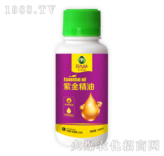 �Ͻ���-�����