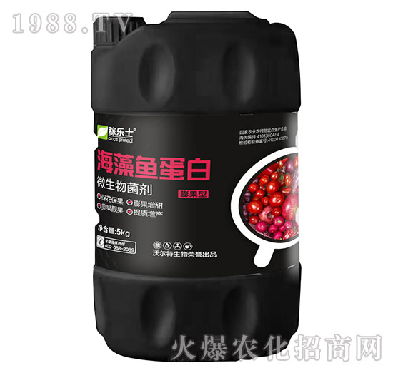 ����ͺ����~����-�ژ�ʿ