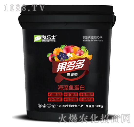 ����ͺ����~����-�����-�ژ�ʿ