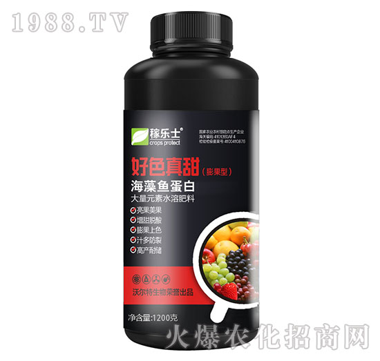 ����ͺ����~(y��)����-��ɫ����-�ژ�(l��)ʿ