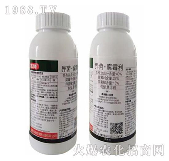 40%��������ù��-�ҽ�-�|������