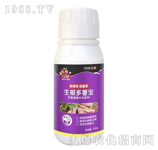 �t���������팚-�����-���A����