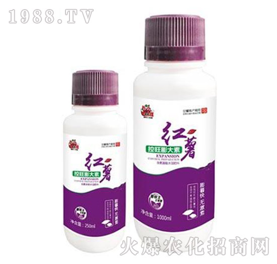 �t�����������-�����-���A����